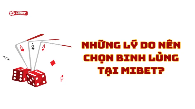 Những lý do nên chọn Binh Lủng tại Mibet