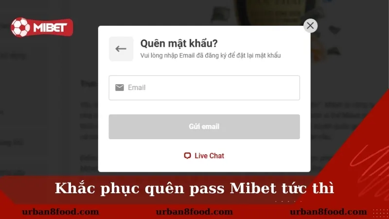 Cách khắc phục vấn đề khi không đăng nhập Mibet được