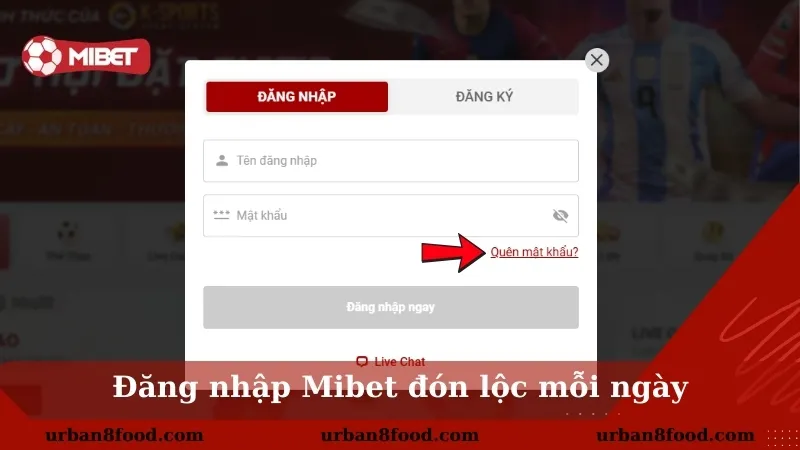 Điền thông tin tài khoản đăng nhập chính xác